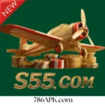 S55